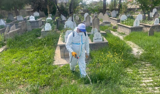 Mezarlıklarda ilaçlama çalışması başlatıldı