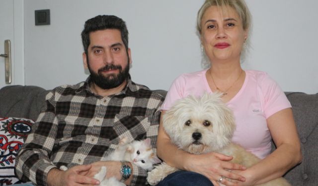 Köpek yavru kediye annelik yapıyor