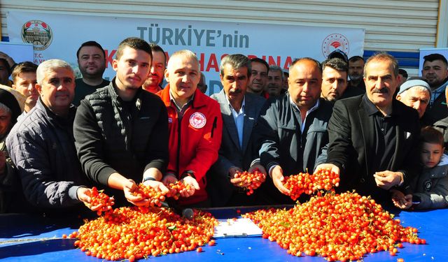Mevsimin ilk kirazı, kilosu 3 bin 500 TL'den satıldı