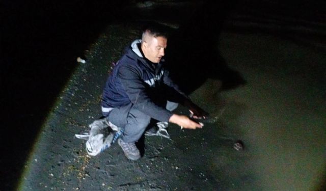 Van'da kaçak avlanan 60 kilo canlı inci kefali ele geçirildi