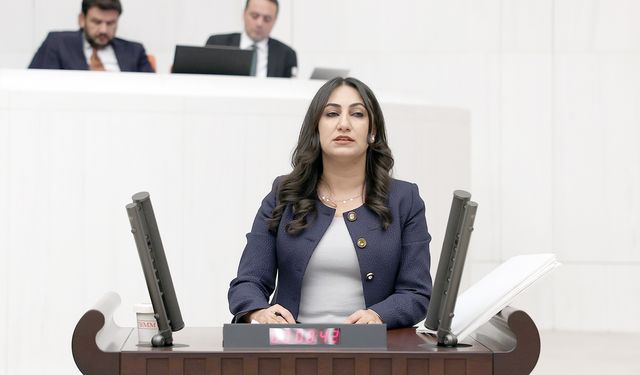 ODUNCU BATMAN’DAKİ SU VE ÇEVRE KİRLİLİĞİNİ MECLİSE TAŞIDI