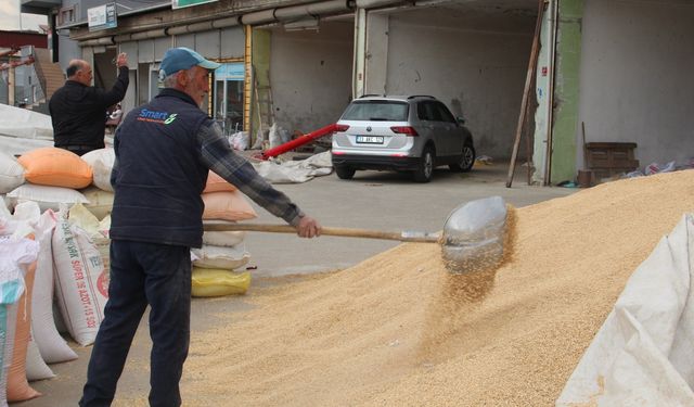 Hububatçılar sezonu bekliyor, gözler taban fiyatında
