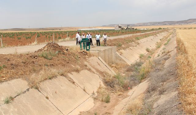 Binlerce dönüm arazi kuraklığa terk edildi