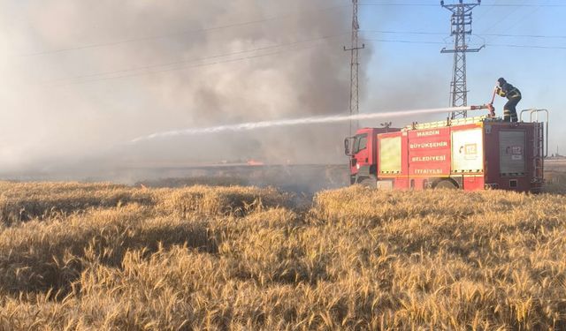 Yangında 155 dönüm ekili alan zarar gördü