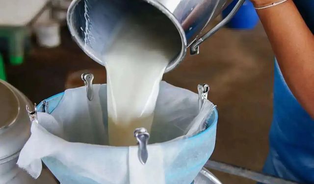 Ticari süt işletmelerince 1 milyon 15 bin ton inek sütü toplandı