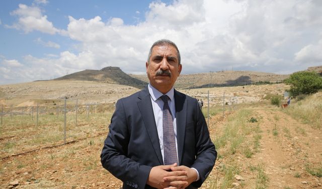 Anız yakmakla sadece toprağı değil, geleceğimizi de yakıyoruz