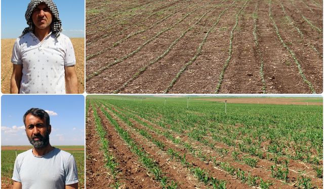 "Güneydoğu Anadolu Projesi acilen hayata geçirilsin"