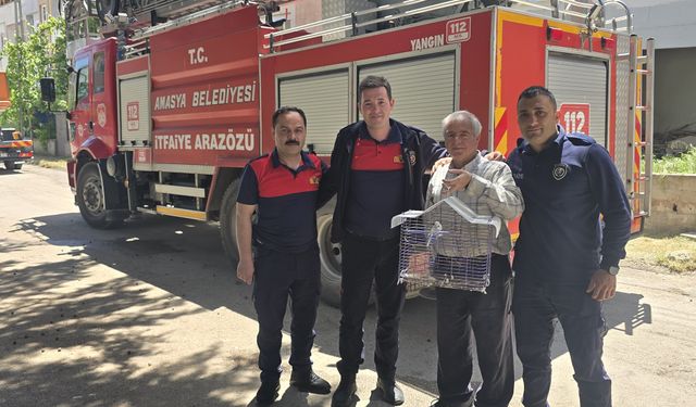 Kaçan muhabbet kuşunu yakalamak istedi, ağaçta mahsur kaldı