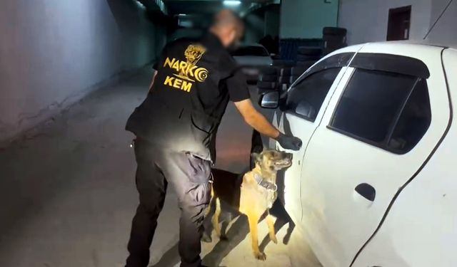 Otomobildeki uyuşturucuyu narkotik köpeği 'Gill' buldu