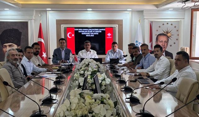 Batma'da 'Sahipsiz Sokak Hayvanları' Denetleme Komisyon Toplantısı