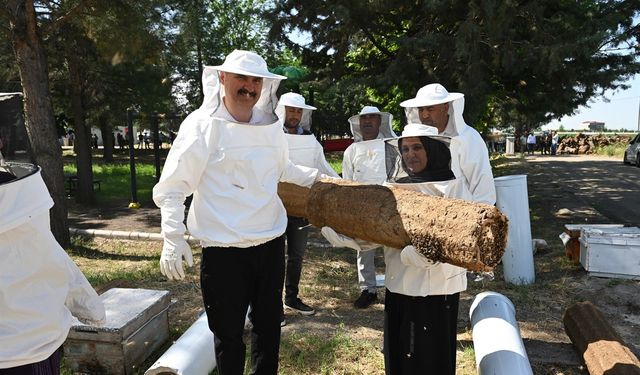 Arıcılıkta Yeni Dönem: 570 Arılı Sepet Kovan Çiftçilere Dağıtıldı