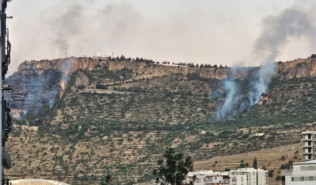 Mardin Kalesi çevresinde orman yangını: İki ayrı noktada alevler yükseldi