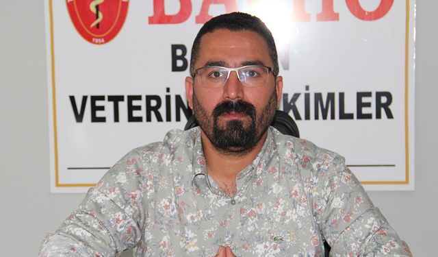 Batman Veteriner Hekimleri Odasından, atlarının katledilmesine tepki