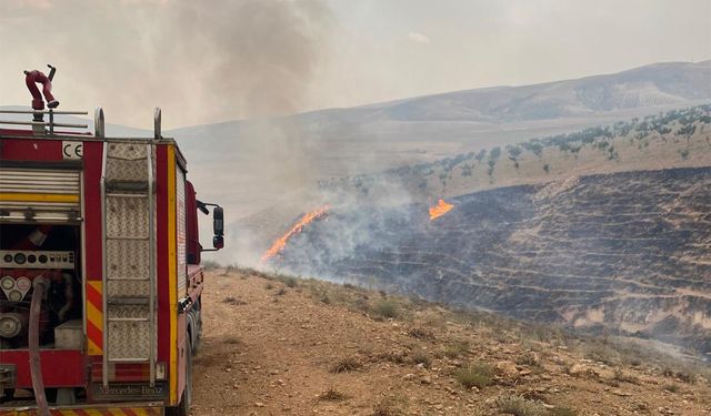 Şanlıurfa'da buğday tarlasında yangın: 170 dönüm alan kül oldu