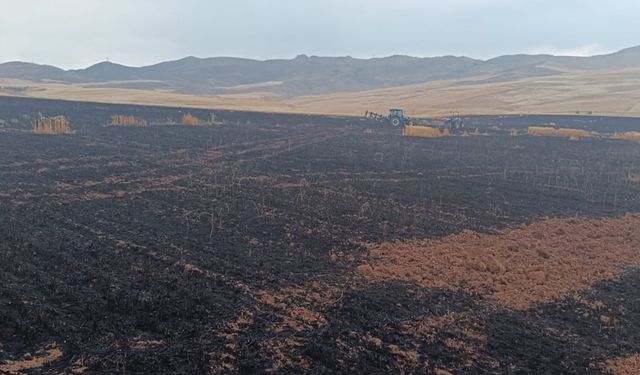 Siirt’te hasat bekleyen ekinler kül oldu