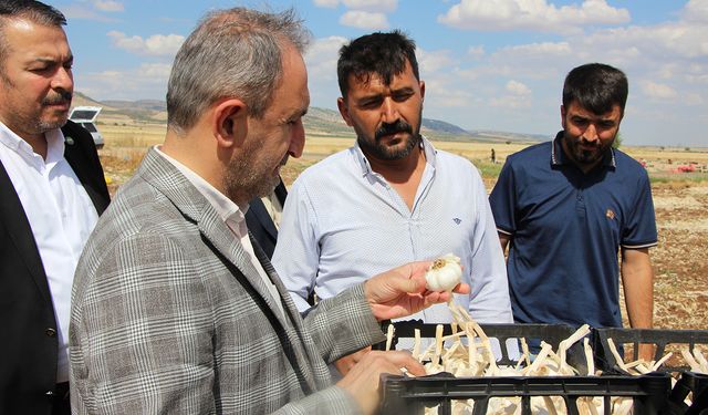 Milletvekili Demir sarımsak üreticisini dinledi