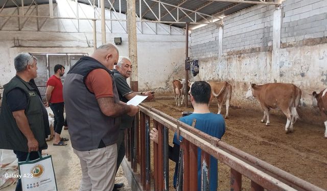 Batman’da 20 Aileye 359 Hayvan Hibe Edildi