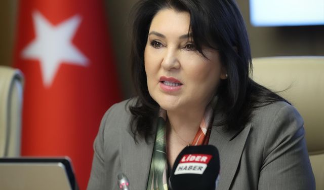 TBMM Dilekçe Komisyonu'na ilginç başvurular