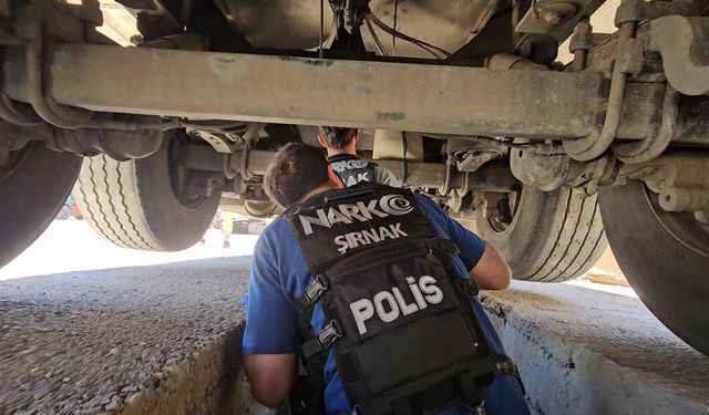 TIR'a gizlenmiş 30 kilogram uyuşturucuyu 'Hector' buldu