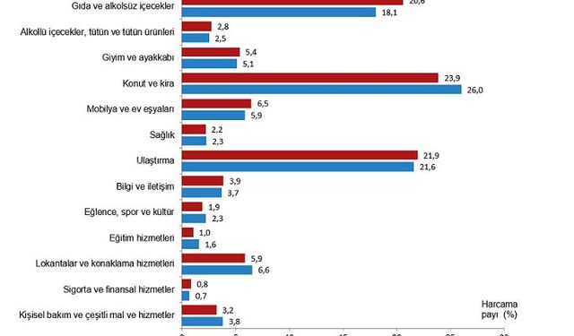 Hanehalkı bütçesinden en fazla pay konut ve kira harcamalarına ayrıldı