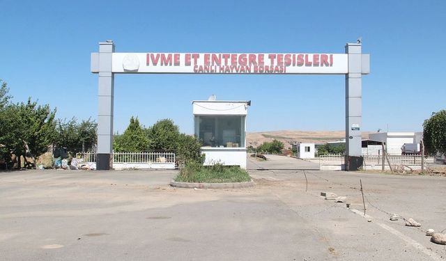 Batman'da Canlı Hayvan Pazarı geçici olarak kapatıldı