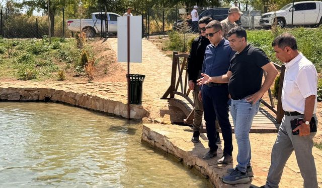 Kaymakam Böçkün'den Kozluk'ta Kapsamlı İncelemeler