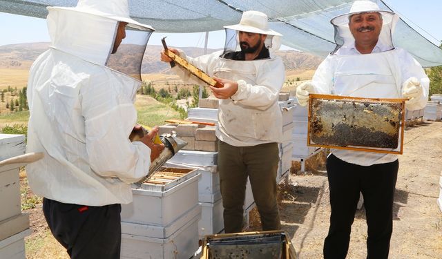 Siirt Üniversitesi bünyesinde bereketli bal hasadı gerçekleştirildi