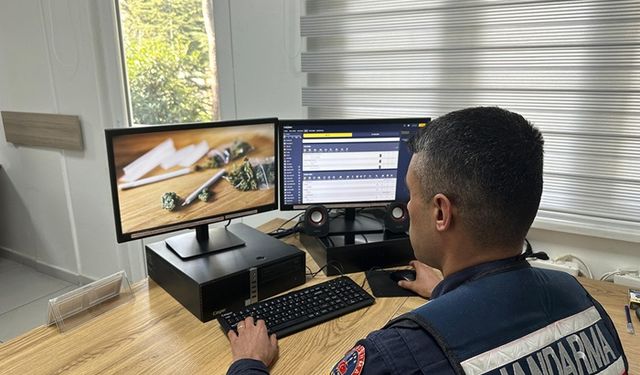 Siber dolandırıcılık operasyonu: 15 gözaltı