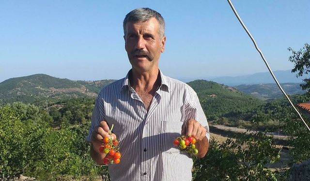 Ailesiyle gittiği piknikte kayboldu