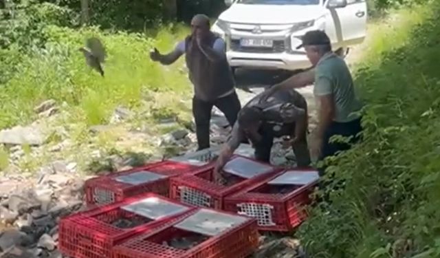 1400 keklik doğayla buluştu