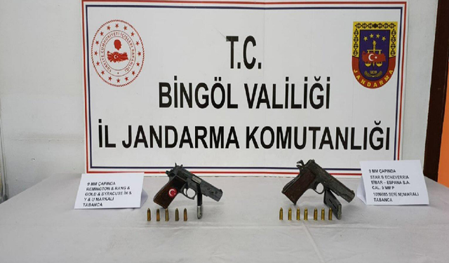 Bingöl'de Silah Operasyonu: 2 gözaltı