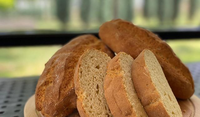 Çölyak Hastalarına Glütensiz Ekmek Desteği Devam Ediyor