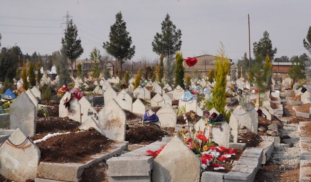 MEZARLIKLARDA DEFİN, TEMİZLİK VE BAKIM ÇALIŞMALARI YÜRÜTÜLÜYOR