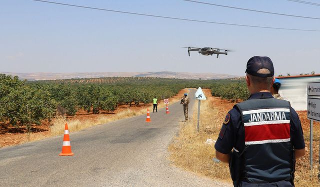 Fıstık hasadı öncesi hırsızlıklara karşı önlemler artırıldı