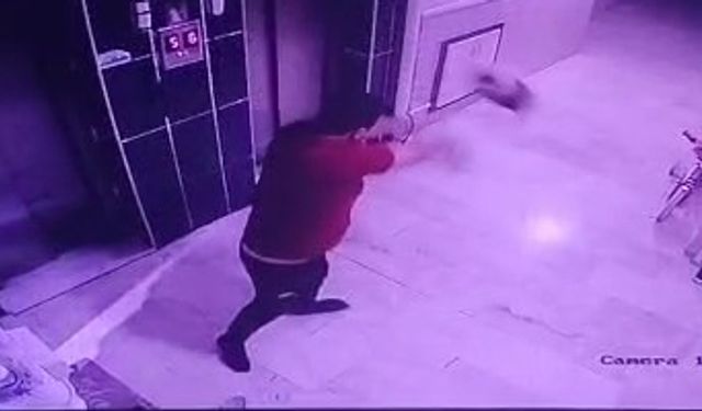 Kediyi yere fırlatan şüpheliye gözaltı