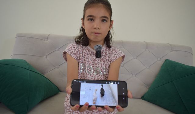 Küçük Cudi, büyüttükleri 2 ördeği çalanlara seslendi