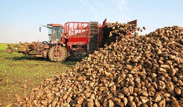 Pancar üreticilerine 2,5 milyar liralık ödeme