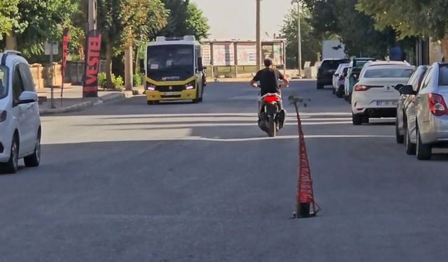 Mardin’de yolda oluşan göçüğe vatandaş fidan dikti