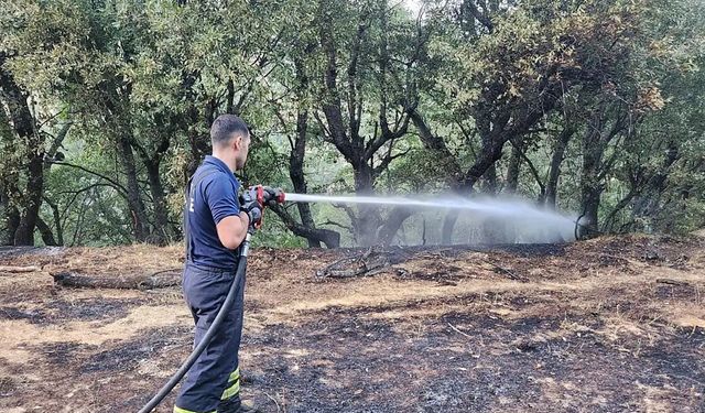 Siirt’te orman yangını: 30 hektarlık alan kül oldu