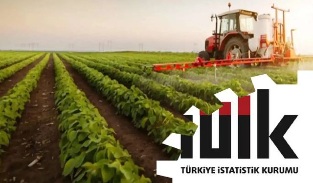 Tarım üretici enflasyonu temmuzda aylık bazda düştü