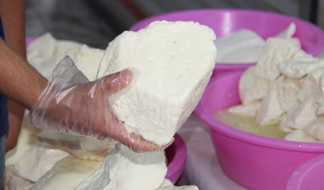 Peynir fiyatlarındaki artış tüketiciyi ucuz ve sağlıksız ürüne yöneltiyor