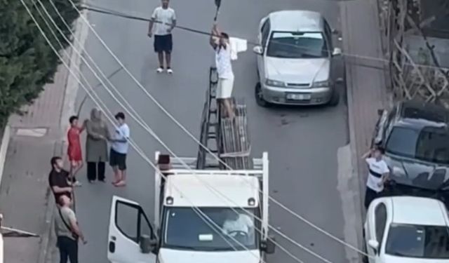 Elektrik kablosuna takılan güvercini kamyonetin kasasına çıkarak kurtardı