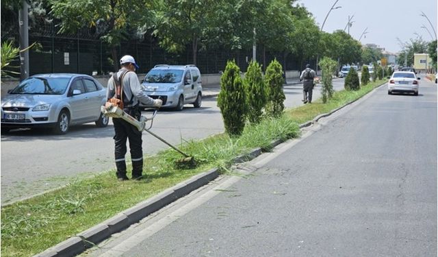 PARK VE YEŞİL ALANLARA KAPSAMLI BAKIM