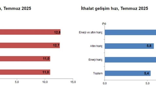 TÜİK: Temmuzda ihracat ve ithalat arttı