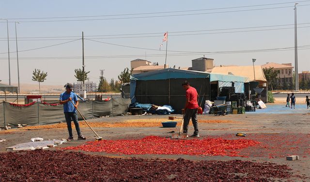 Kurutmalık ve salça üreticileri: Yoğun talebe yetişemiyoruz