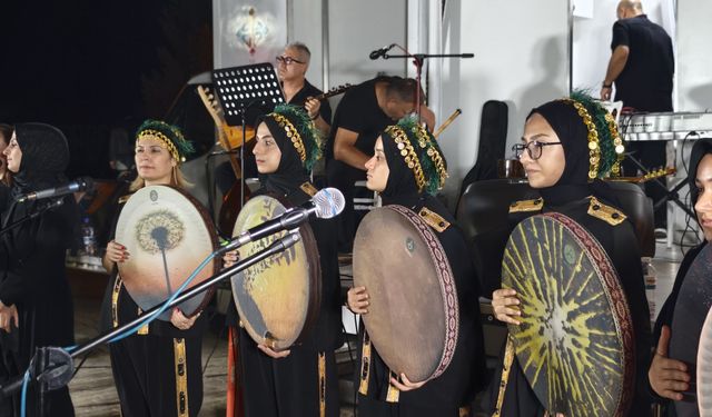 Beşiri'de Müziğin Büyülü Gecesi