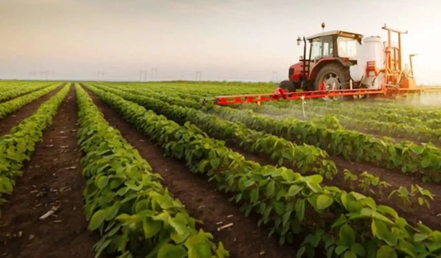 Ağustosta Tarım ÜFE yüzde 3,45 azaldı