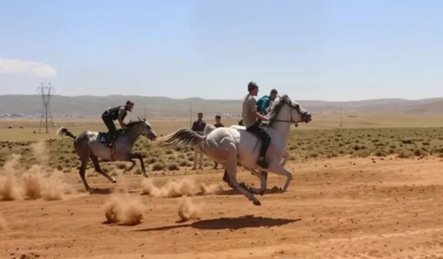 At yarışları için geri sayım başladı