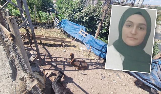 Hareketsiz yatan keçiye dokunan kadın, akıma kapılıp öldü