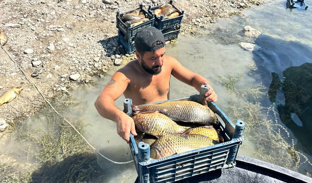 Denizi olmayan Tunceli'de balık avlayarak ayda 200 bin lira kazanıyor